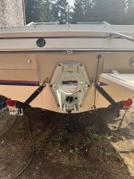 Bayliner Transom Shield.jpg