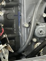IMG_7496.jpeg