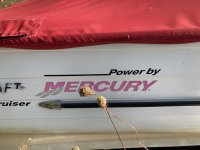 IMG_4432.JPG