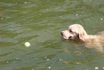 IMG_1500a.JPG