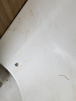 IMG_3088.JPG