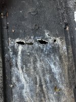 IMG_2447.jpeg