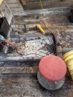 IMG_1554.jpeg