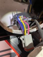Harness 2.jpg