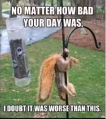 Squrial.png
