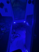 IMG_3951.JPG
