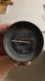 20240209_172125.jpg