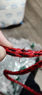 IMG_20240210_182418.jpg