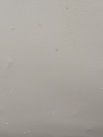 20220427_180240.jpg