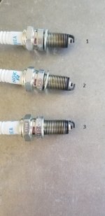 Plugs.jpg