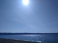 IMG_20200408_153404209.jpg