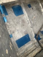 IMG_2377.jpeg