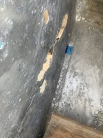 IMG_2375.jpeg