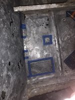 IMG_2443.jpeg