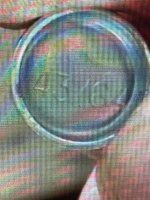 IMG_1254.jpeg