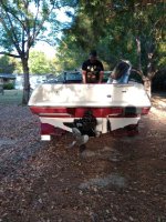 IMG_20240419_204429.jpg