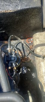 IMG_20240428_134308.jpg