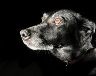 IMG_5137.jpeg
