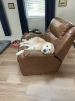 IMG_0571.jpeg