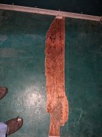 PXL_20240503_001222423.jpg