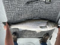 IMG_4845.jpeg