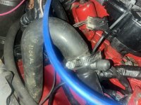 IMG_5558.jpeg