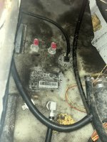 IMG_5566.jpeg