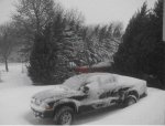 Snow-Storm-2010.JPG