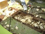 DSC01045.jpg