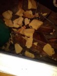 IMG00116-20100214-1651.jpg