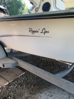 IMG_9253.jpeg