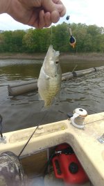 20180509_103218.jpg