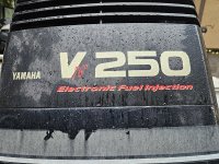 20250215_084758.jpg