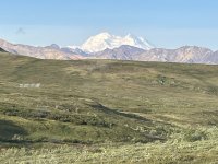 IMG_3195.jpeg