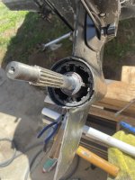 IMG_3278.jpeg