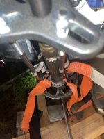 IMG_3265.jpeg