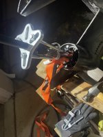 IMG_3262.jpeg