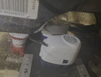 IMG_8067.jpeg