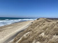 IMG_2055.jpeg