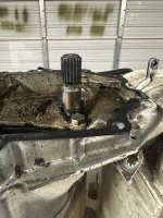 IMG_1110.jpeg