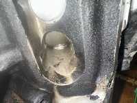 IMG_1115.jpeg