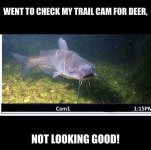 flood trail cam.jpg