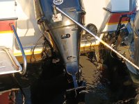IMG_20250413_191511743.jpg