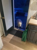 IMG_2106.jpeg