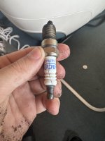 IMG_1972.jpeg