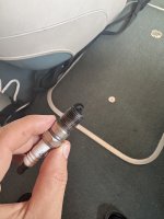 IMG_1971.jpeg