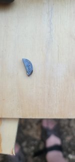 20250426_174408.jpg