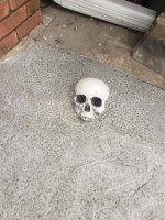1746047196874.jpeg