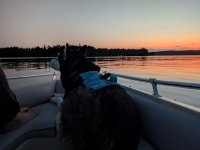 PXL_20240913_232356211.NIGHT.jpg
