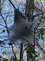 IMG_2168.jpeg